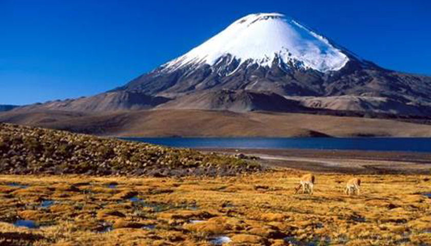 Chungara Lake and Parinacota Volcano