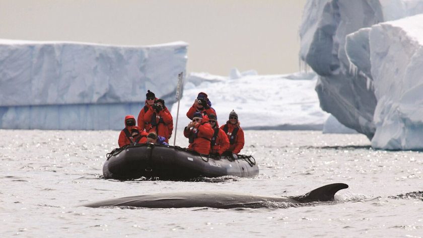 Antarctica - Photo copyright Richard Sidey