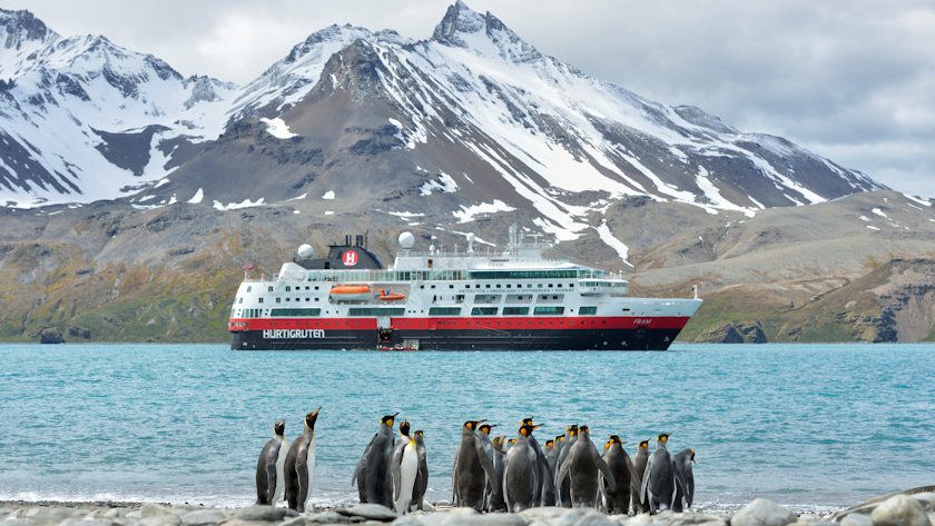 Hurtigruten penguins in Antarctica