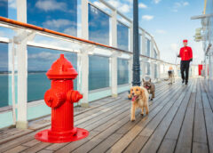 Bone Voyage: Cunard’s Grand Ocean Liner, Queen Mary 2, Is Even More Grand for Dogs (and Cats!)