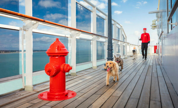 Bone Voyage: Cunard’s Grand Ocean Liner, Queen Mary 2, Is Even More Grand for Dogs (and Cats!)